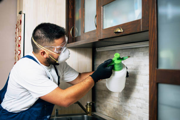 Best Bed Bug Extermination  in Garrison, ND