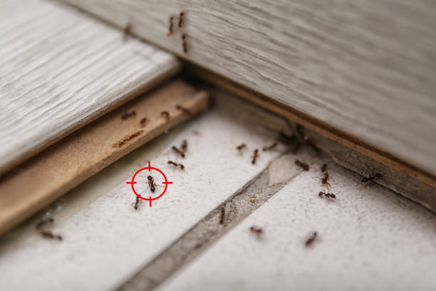 Best Pest Removal Services  in Garrison, ND