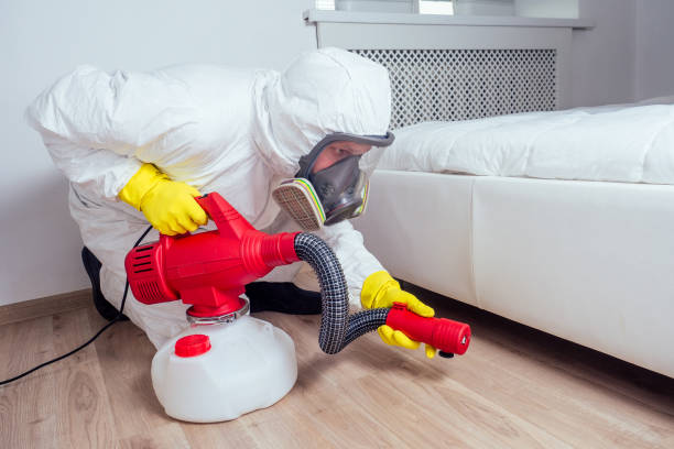 Best Wasp Removal Services  in Garrison, ND