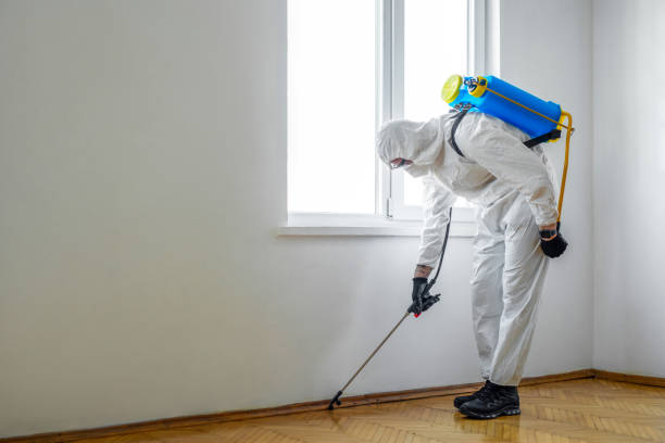 Insect Control in Garrison, ND