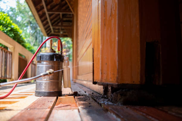 Best Ant Control Services  in Garrison, ND