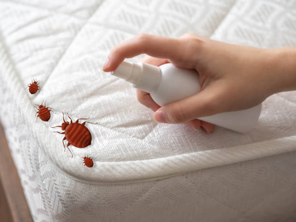Best Pest Control Near Me  in Garrison, ND