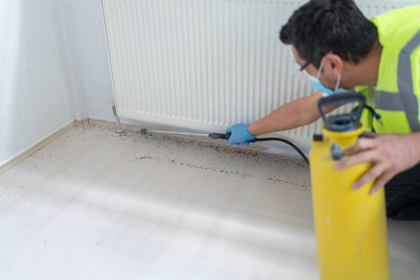Best Mosquito Control Services  in Garrison, ND