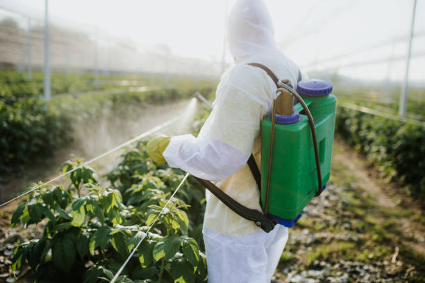Best Flea Control Services  in Garrison, ND